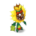 Tournesol Affamé